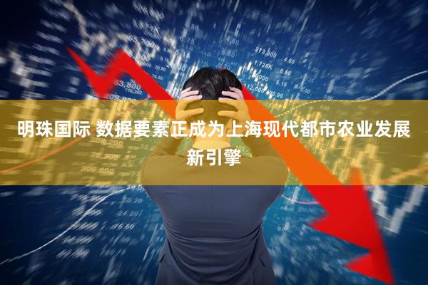 明珠国际 数据要素正成为上海现代都市农业发展新引擎